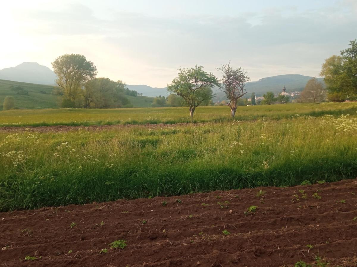 Appartamento Roen Cavareno Exteriér fotografie